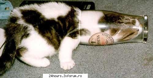 Poze - LaRRy - Photos and videos